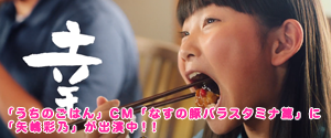 「キッコーマン うちのごはん」CM「なすの豚バラスタミナ篇」(15秒)【キッコーマン公式】